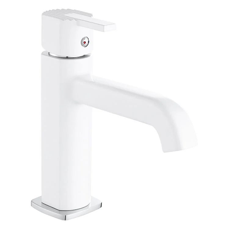 BACCHINO BASINO SINGOLA BRASSIONE BRASSIONE