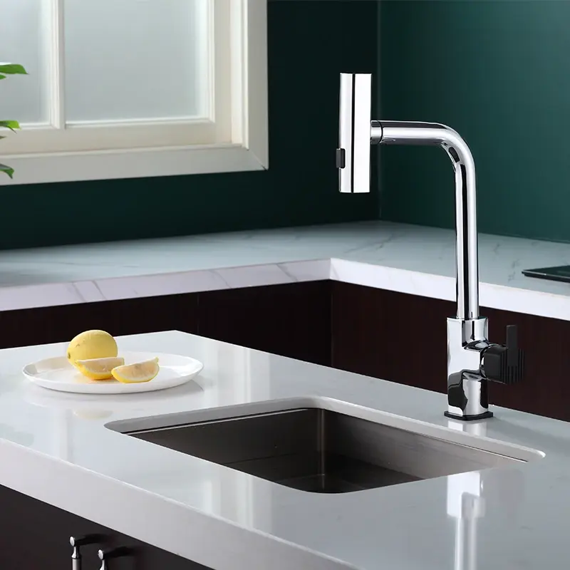 Brass Pull Out Spring Kitchen Faucet