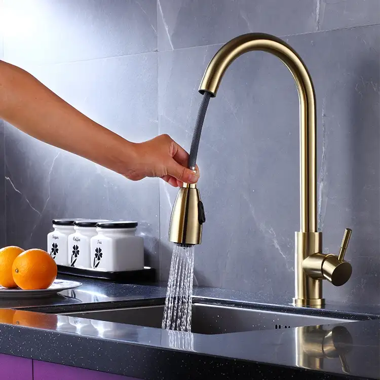 Rubinetto cucina in acciaio inossidabile con spruzzatore
